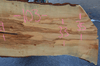 Big Leaf Maple Slab 031920-04