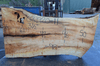Big Leaf Maple Slab 031920-11