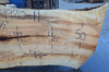 Big Leaf Maple Slab 031920-11