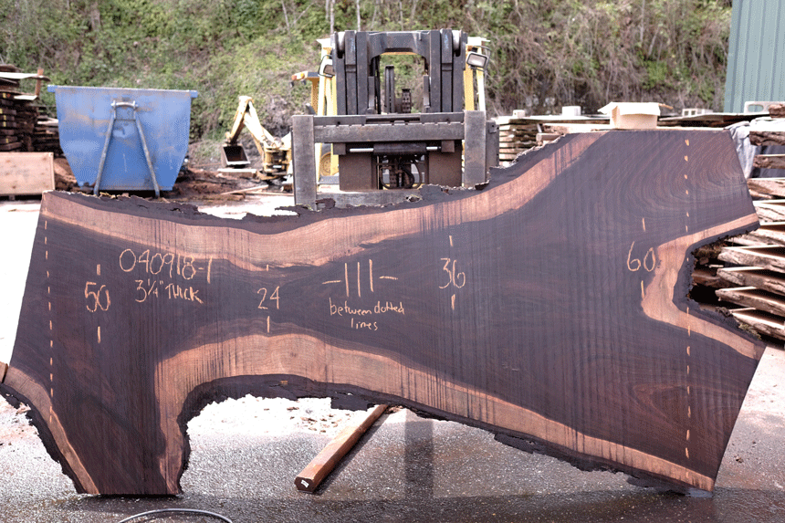 Oregon Black Walnut Slab 040918-01