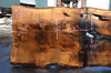 Oregon White Oak Slab 040921-01