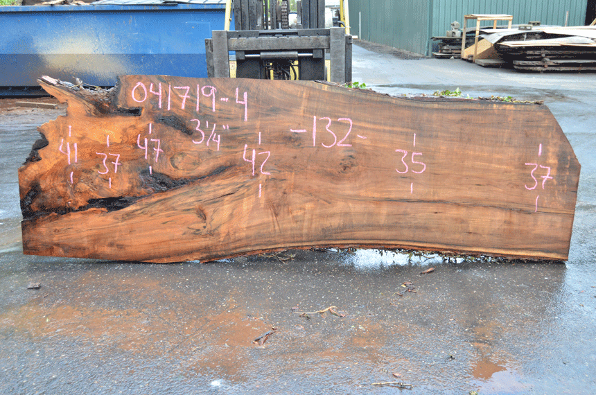 041719-04 Big Leaf Maple Slab