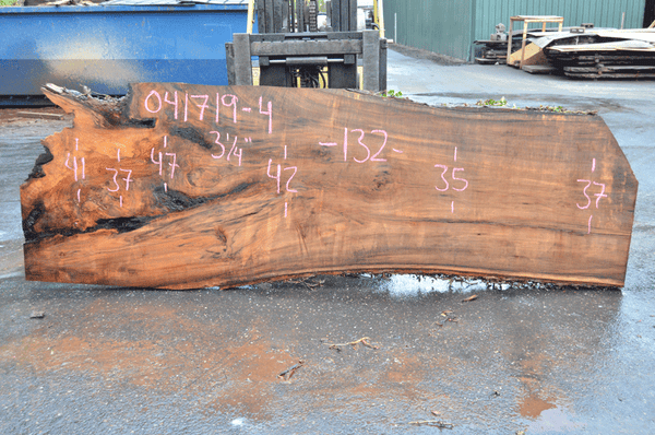 041719-04 Big Leaf Maple Slab