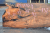 041719-04 Big Leaf Maple Slab