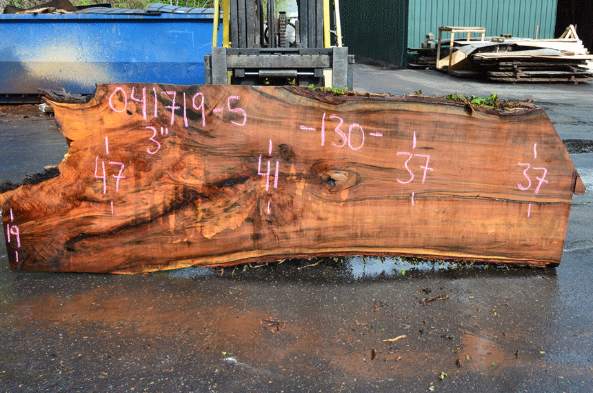 041719-05 Big Leaf Maple Slab