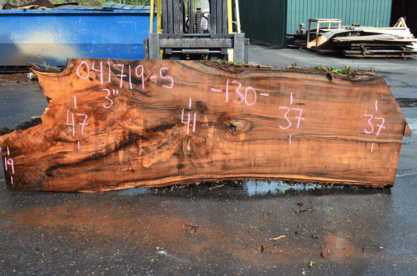 041719-05 Big Leaf Maple Slab