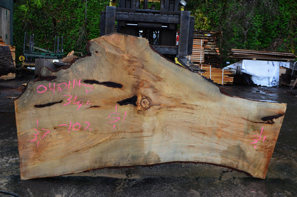 Big Leaf Maple Slab 042114-02