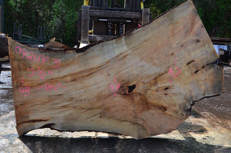 Big Leaf Maple Slab 042114-03