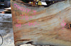 Big Leaf Maple Slab 042114-03