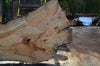 Big Leaf Maple Slab 042114-03