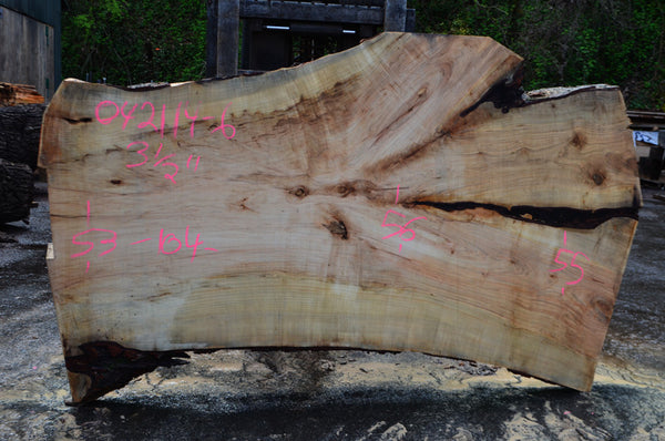 Big Leaf Maple Slab 042114-06