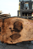 Bastogne Walnut Slab 042518-13