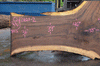 Oregon Black Walnut Slab 042621-02
