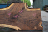 Oregon Black Walnut Slab 042621-02