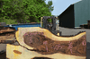 Bastogne Walnut Slab 042720-19