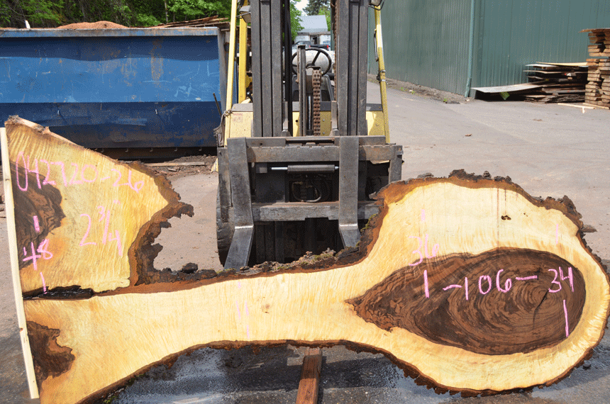 Bastogne Walnut Slab 042720-26