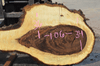 Bastogne Walnut Slab 042720-26