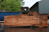 Big Leaf Maple Slab 042721-05