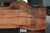 Big Leaf Maple Slab 042721-05