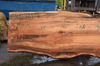 Big Leaf Maple Slab 042721-06