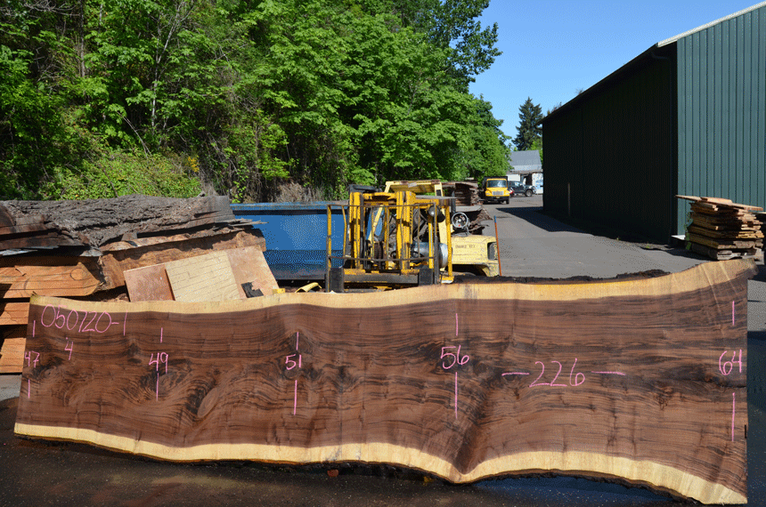 Oregon Black Walnut Slab 050720-01