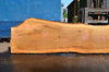 Oregon White Oak Slab 051321-01