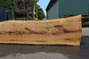 Oregon White Oak Slab 051321-03