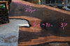 Bastogne Walnut Slab 052014-01