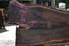 Bastogne Walnut Slab 052014-04