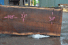Oregon Black Walnut Slab 052021-04
