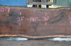 Oregon Black Walnut Slab 052021-07