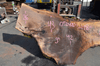Oregon Black Walnut Slab 052420-01