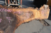 Oregon Black Walnut Slab 052420-01