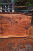 Oregon Redwood Slab 052616-10