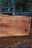 Oregon Redwood Slab 052616-12