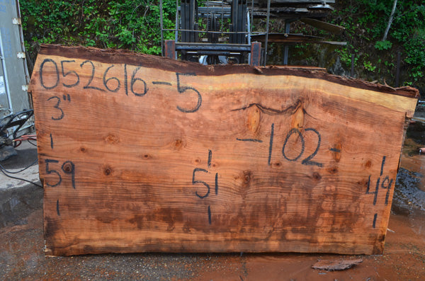 Oregon Redwood Slab 052616-05