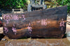 Oregon Black Walnut Slab 053116-03
