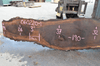 Oregon Black Walnut Slab 060220-01