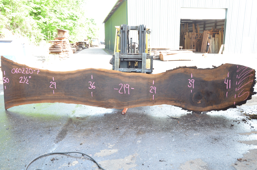 Oregon Black Walnut Slab 060220-07