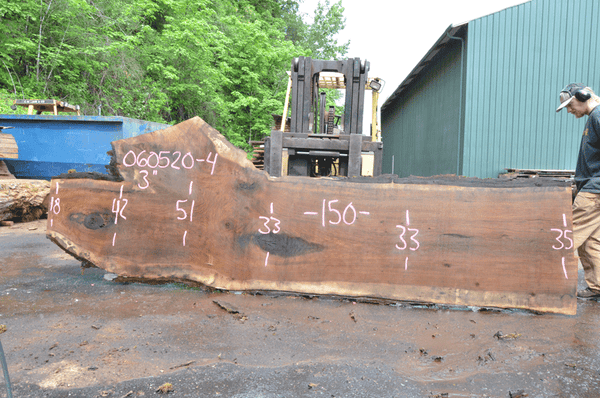 Oregon Black Walnut Slab 060520-04