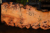 Oregon Fir Slab 060716-01