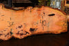 Oregon Fir Slab 060716-01