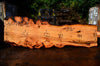 Oregon Fir Slab 060716-02