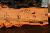 Oregon Fir Slab 060716-02