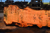 Oregon Fir Slab 060716-05