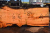 Oregon Fir Slab 060716-05