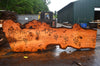 Oregon Fir Slab 060716-06