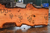 Oregon Fir Slab 060716-06