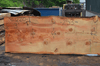 Oregon Fir Slab 061220-01
