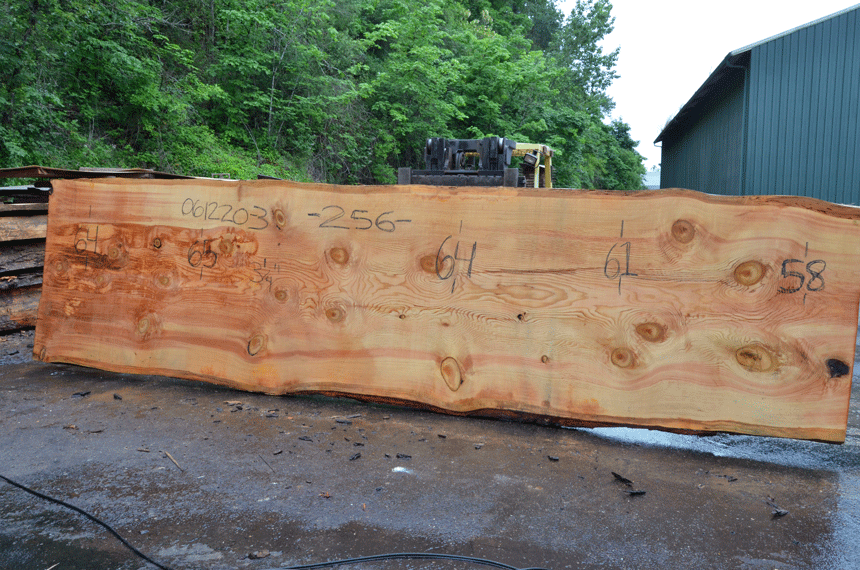 Oregon Fir Slab 061220-03
